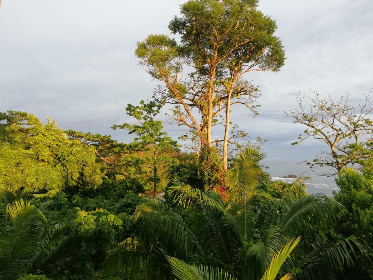 Garden Of Heliconias Lodge Drake Bay Exterior photo